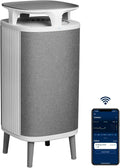 Blueair Luchtreiniger DustMagnet 5240i HEPA Silent tot 48m2, Grijs, Luchtverbeteraar